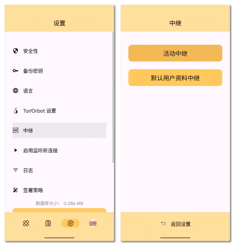 进入琥珀的中继设置